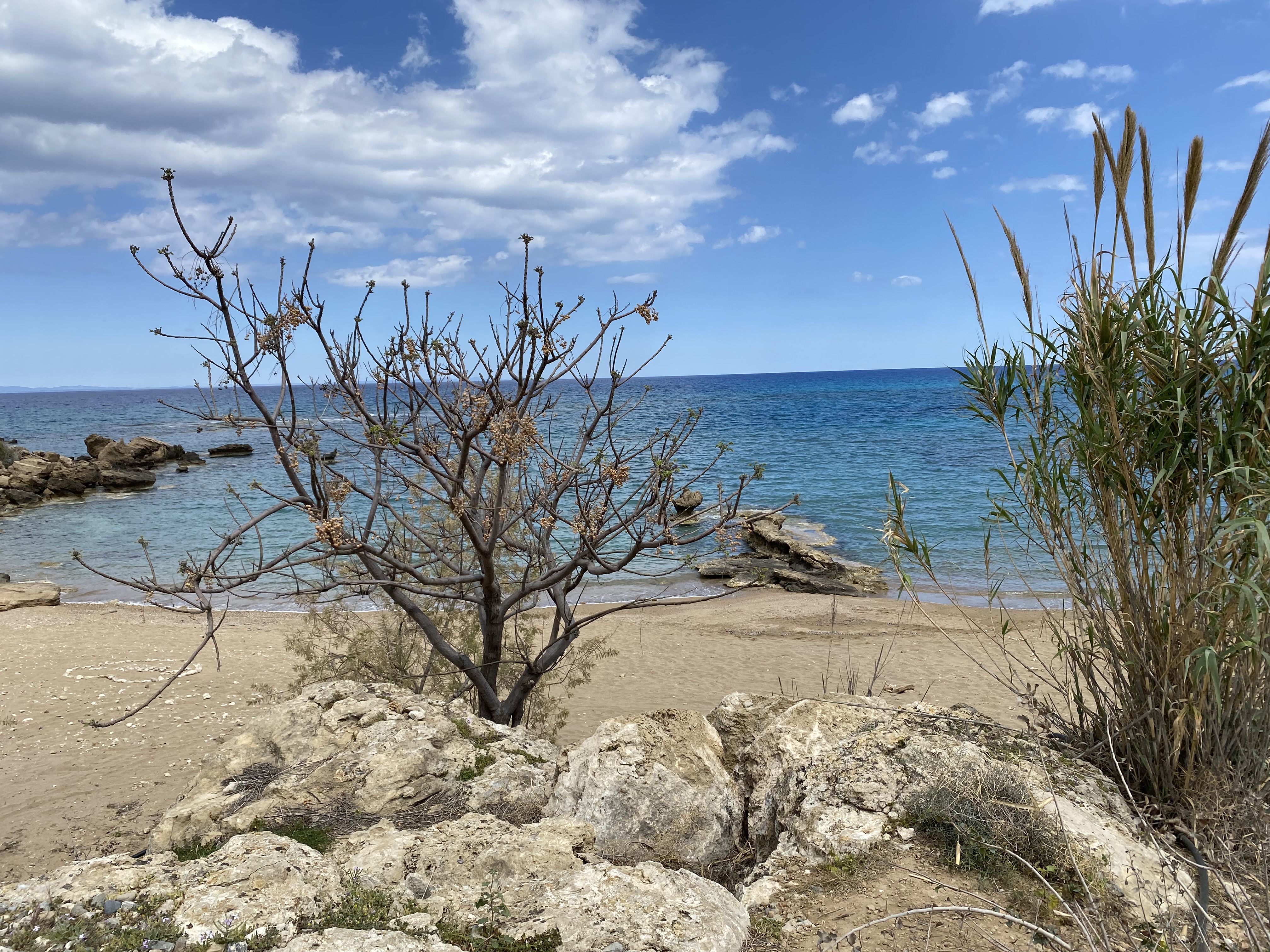 Nearby Beaches