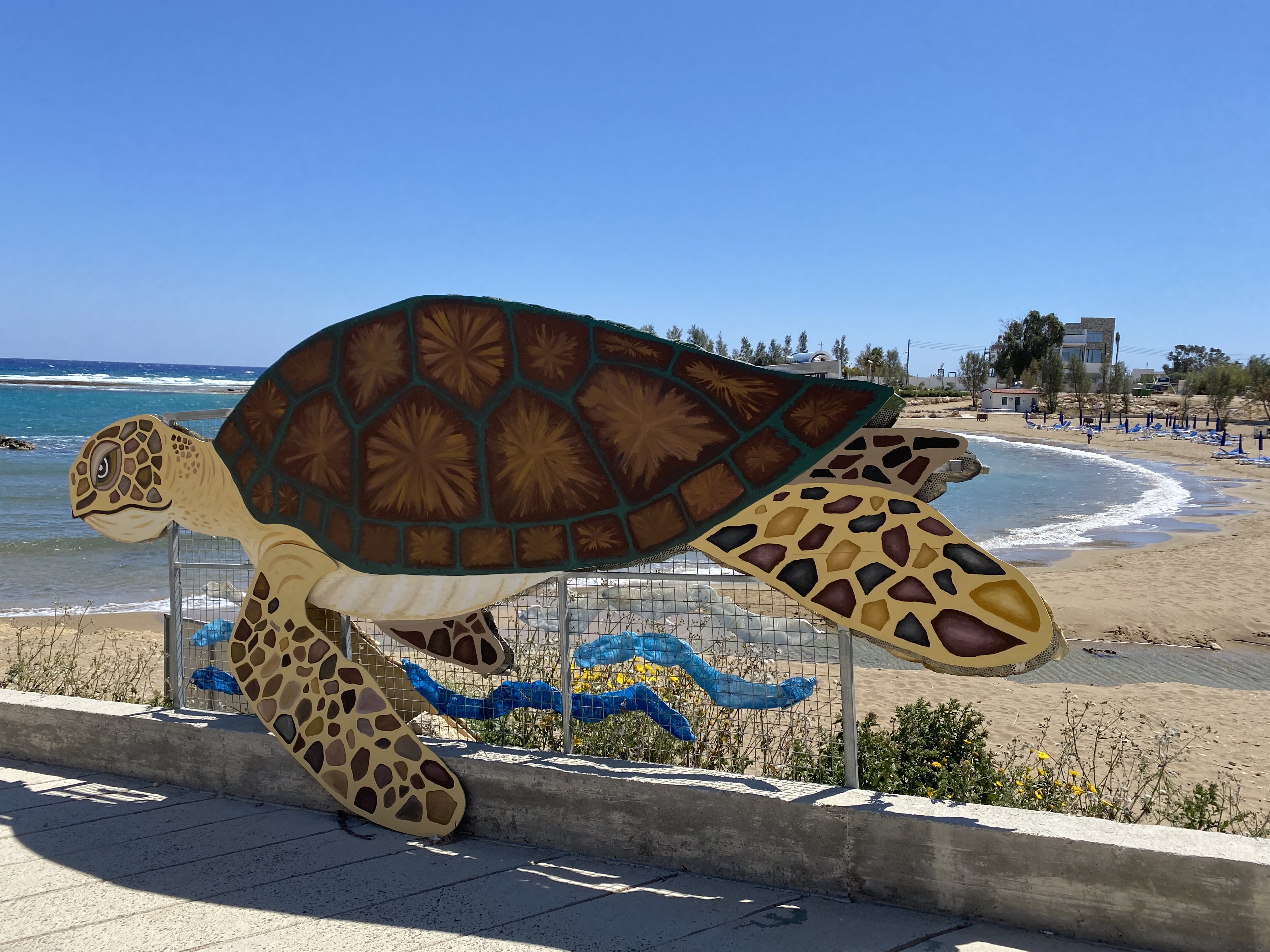 Nearby Beaches